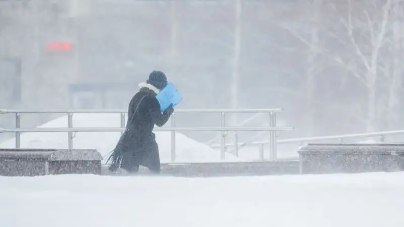 Что делать во время аномальных морозов