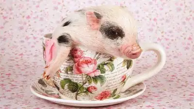 Zakon.kz, фото - Новости Zakon.kz от 04.10.2014 17:32