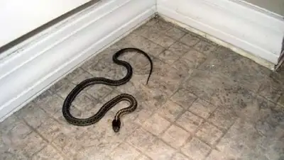 Zakon.kz, фото - Новости Zakon.kz от 18.08.2017 11:47