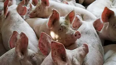 Zakon.kz, фото - Новости Zakon.kz от 24.10.2016 23:29