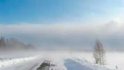 Zakon.kz, фото - Новости Zakon.kz от 18.02.2014 23:21