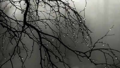 Zakon.kz, фото - Новости Zakon.kz от 26.03.2017 12:03