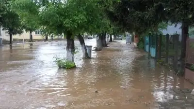 Zakon.kz, фото - Новости Zakon.kz от 20.06.2014 16:59