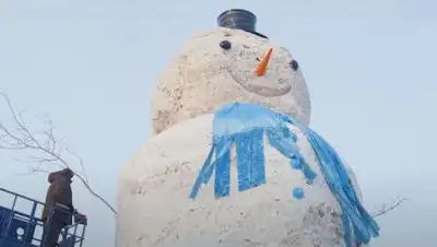 кадр из видео, фото - Новости Zakon.kz от 10.01.2021 16:36