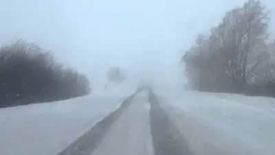 Zakon.kz, фото - Новости Zakon.kz от 23.12.2016 19:12