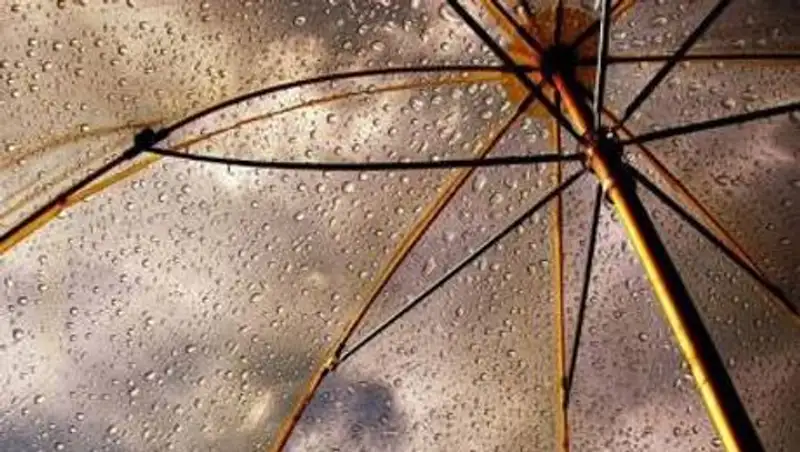 Дождь прогнозируется на западе, севере и в центре Казахстана в понедельник