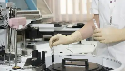 regnum, фото - Новости Zakon.kz от 07.09.2020 08:42