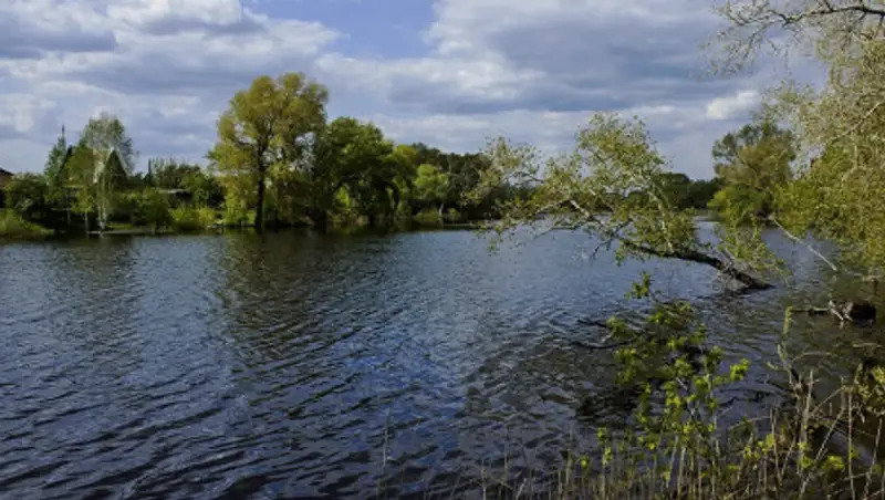 Из-за халатности педагога утонул ребенок в Костанае