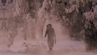 Zakon.kz, фото - Новости Zakon.kz от 15.11.2016 13:25