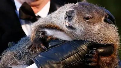 Zakon.kz, фото - Новости Zakon.kz от 03.02.2015 02:22