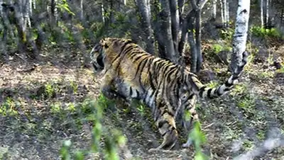 Zakon.kz, фото - Новости Zakon.kz от 09.10.2014 23:09