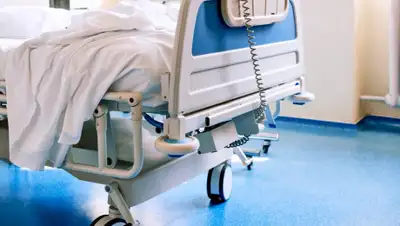 Futurity, фото - Новости Zakon.kz от 16.04.2020 20:14