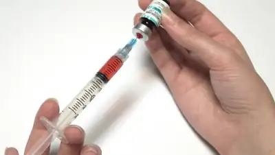 © СС0, фото - Новости Zakon.kz от 13.02.2018 10:40