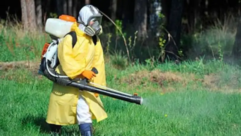 Клещи в городе: в Алматы 11 дезинфекционных бригад вышли на борьбу с паразитами