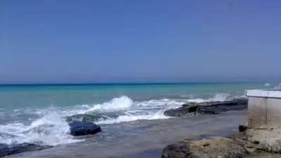 Zakon.kz, фото - Новости Zakon.kz от 26.08.2015 17:35