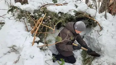 как выжить в зимнем лесу, фото - Новости Zakon.kz от 11.02.2023 09:28