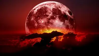 Открытые источники, фото - Новости Zakon.kz от 23.01.2019 02:00