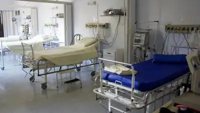 Pixabay, фото - Новости Zakon.kz от 30.07.2020 19:39