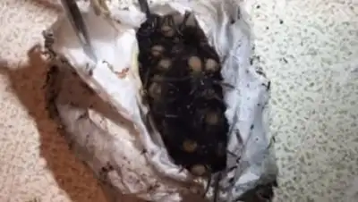 Zakon.kz, фото - Новости Zakon.kz от 16.01.2018 10:45