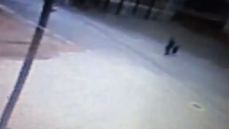 В соцсетях появилось видео подозреваемого в убийстве Вики Ганя