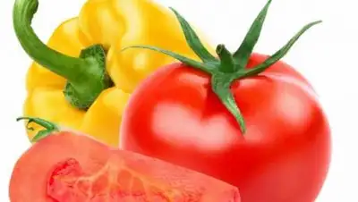 МСХ РК, фото - Новости Zakon.kz от 07.06.2021 19:38