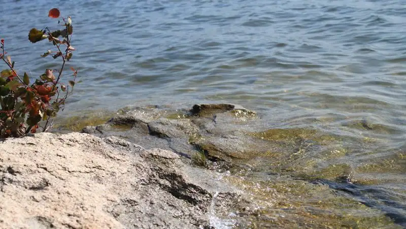 Дефицит воды в Казахстане может составить до 12 км³ в год – Кошанов