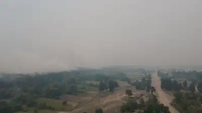 дым от пожара, фото - Новости Zakon.kz от 11.06.2023 15:04