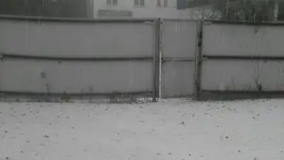 Zakon.kz, фото - Новости Zakon.kz от 12.07.2017 04:46