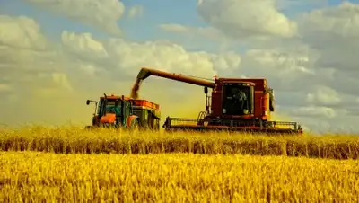 Весь Искитим, фото - Новости Zakon.kz от 22.08.2018 11:38