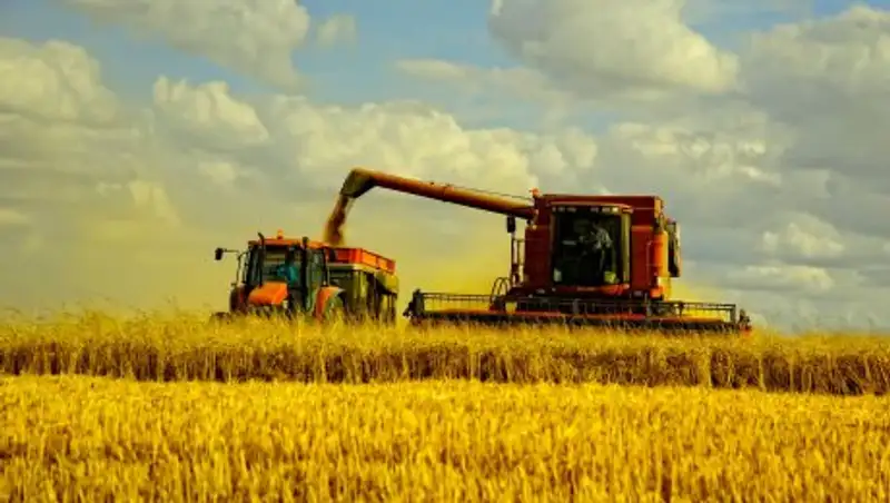 Шукеев: Есть проблемы с отгрузкой дизтоплива для уборки