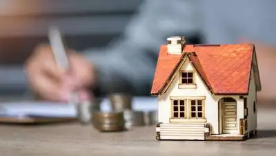 kn.kz, фото - Новости Zakon.kz от 03.02.2021 13:36