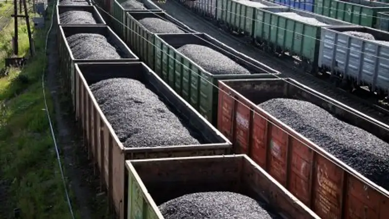 Пьяный казахстанец приехал в Россию в вагоне с углем