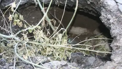 Zakon.kz, фото - Новости Zakon.kz от 04.09.2015 20:59