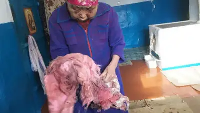 diapazon.kz, фото - Новости Zakon.kz от 17.05.2019 01:30