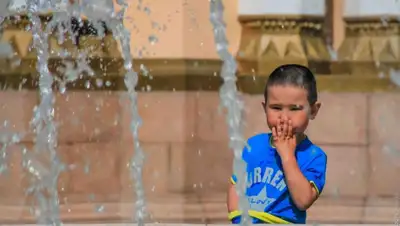 matrica.kz, фото - Новости Zakon.kz от 01.07.2019 14:03