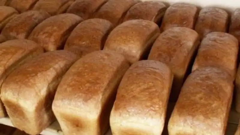 Для стабилизации цен на хлеб в Костанайской области выделено почти 40 тыс тонн зерна