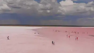 Facebook, фото - Новости Zakon.kz от 22.08.2020 12:25