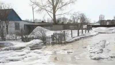 Zakon.kz, фото - Новости Zakon.kz от 26.02.2015 00:52