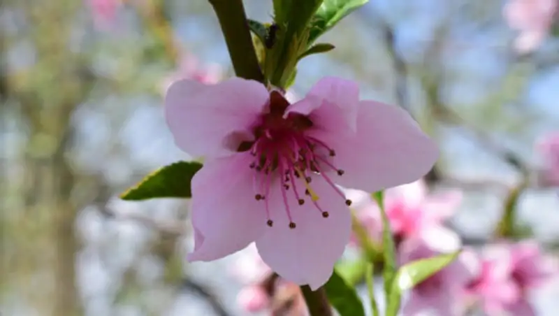 Чего ждать от погоды 27 марта в Казахстане