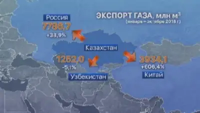 24.kz, фото - Новости Zakon.kz от 11.03.2019 09:00