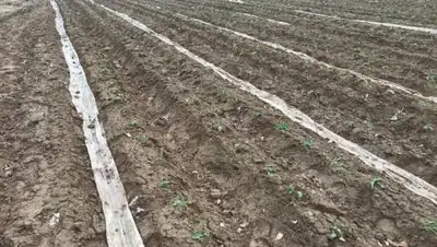 пресс-служба акима Туркестанской области, фото - Новости Zakon.kz от 16.02.2021 12:03