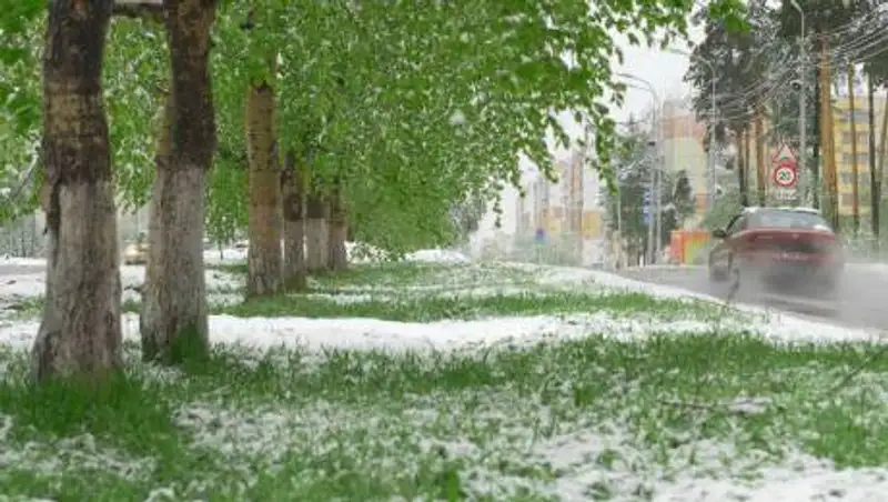 Снег и заморозки спрогнозировали в одном из регионов Казахстана
