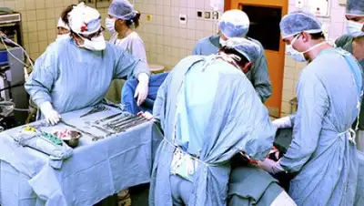 Zakon.kz, фото - Новости Zakon.kz от 07.09.2017 19:43