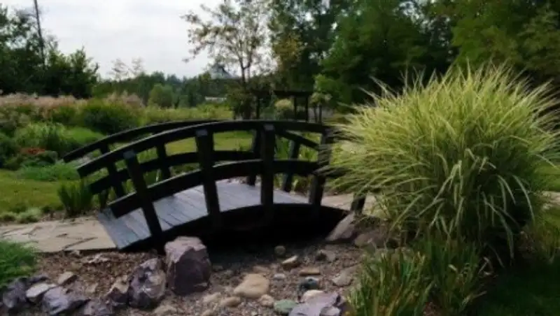 Прокуратура снизила цены в Ботаническом саду Алматы