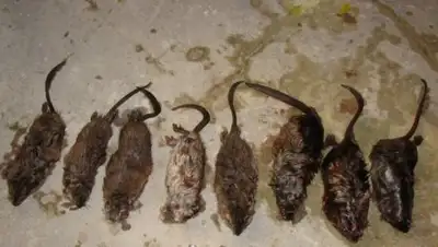 Zakon.kz, фото - Новости Zakon.kz от 11.04.2017 21:44