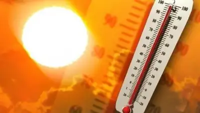 nysenate.gov, фото - Новости Zakon.kz от 03.08.2018 11:43