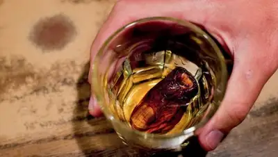 Zakon.kz, фото - Новости Zakon.kz от 22.06.2017 03:27