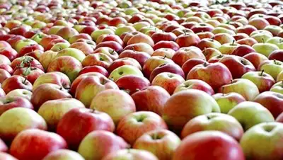 Zakon.kz, фото - Новости Zakon.kz от 23.03.2015 20:31