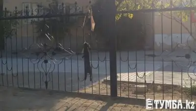 Zakon.kz, фото - Новости Zakon.kz от 19.10.2015 16:36