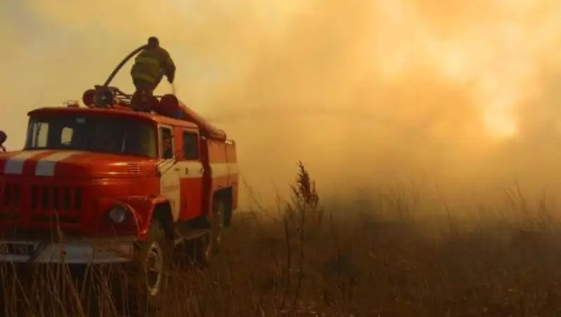В Чернобыльской зоне отчуждения наполовину сгорел Рыжий лес